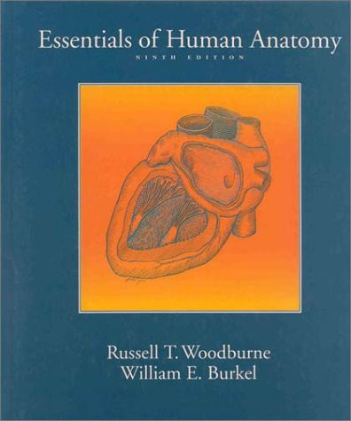 Essentials of Human Anatomy