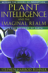 Plant Intelligence And The Imaginal Realm