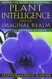 Plant Intelligence And The Imaginal Realm