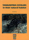 Tanganyika Cichlids in their Natural Habitat