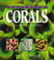 Aquarium Corals