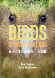 Birds Of New Zealand