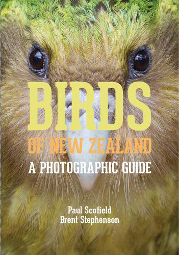 Birds Of New Zealand