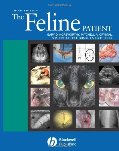 Feline Patient