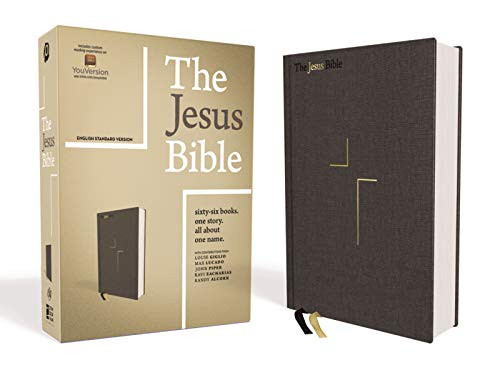 Jesus Bible ESV Edition Cloth over Board Gray
