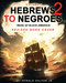 HEBREWS TO NEGROES 2 WAKE UP BLACK AMERICA! Volume 1