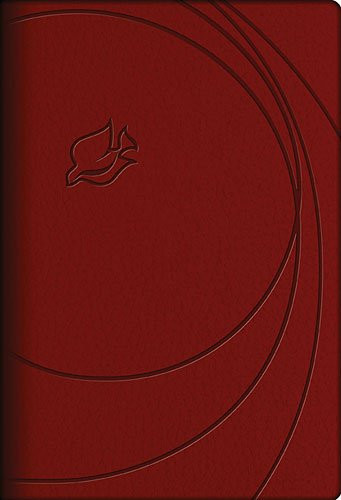 NLT New Spirit-Filled Life Bible Imitation Leather Red