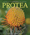 Protea A Guide to Cultivated Species and Varieties