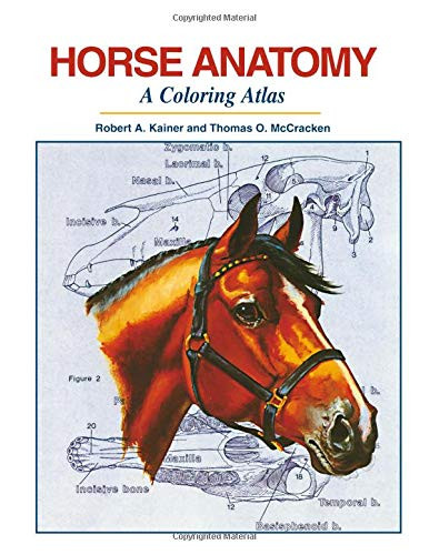 Horse Anatomy A Coloring Atlas
