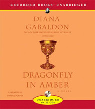 Dragonfly in Amber