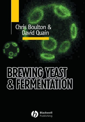 Brewing Yeast And Fermentation
