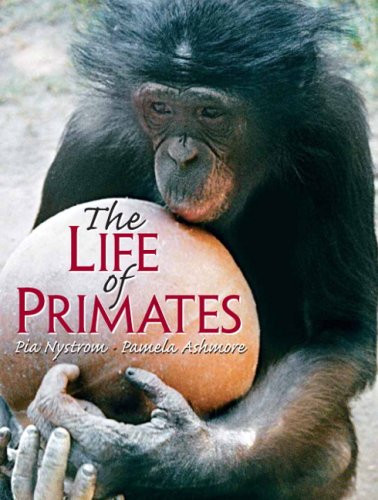 Life Of Primates