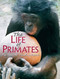 Life Of Primates