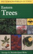 Field Guide To Eastern Trees