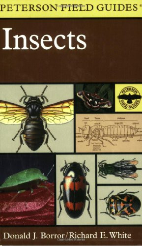 Field Guide To Insects