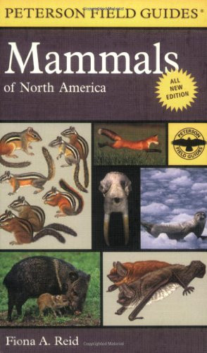 Peterson Field Guide To Mammals Of North America