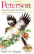 Peterson Field Guide To Birds Of Eastern And Central North America