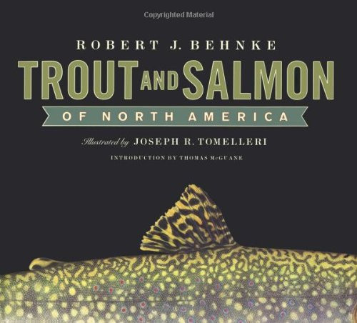 Trout And Salmon Of North America