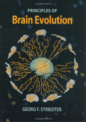 Principles Of Brain Evolution