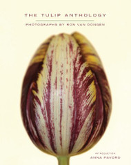 Tulip Anthology