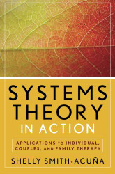 Systems Theory In Action