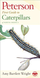 Peterson First Guide To Caterpillars Of North America