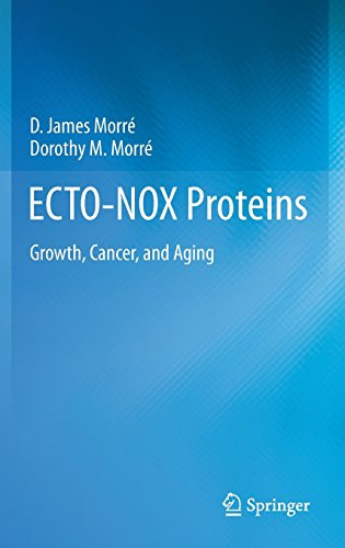 ECTO-NOX Proteins