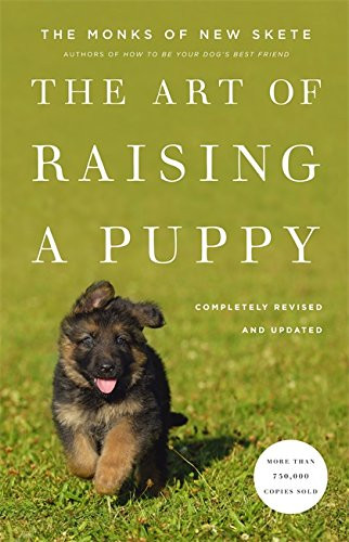 Art Of Raising A Puppy