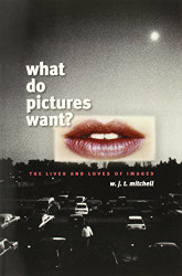 What Do Pictures Want?