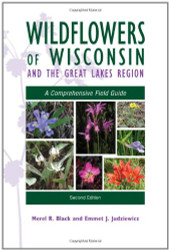 Wildflowers Of Wisconsin And The Great Lakes Region