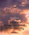 Corporate Governance and Accountability