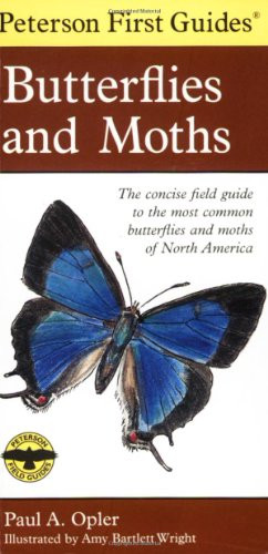 Peterson First Guide To Butterflies And Moths