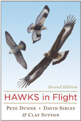 Hawks In Flight