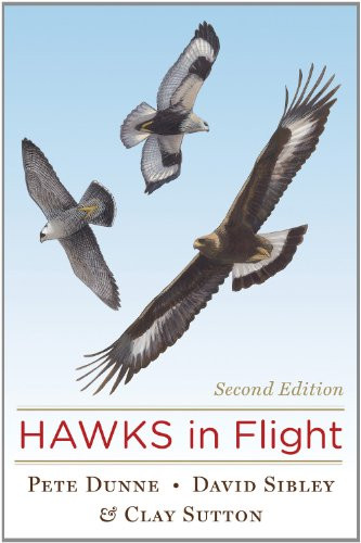 Hawks In Flight