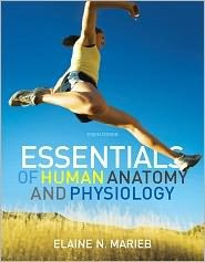 Essentials Of Human Anatomy And Physiology