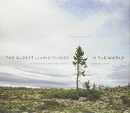 Oldest Living Things In The World