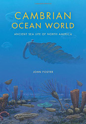 Cambrian Ocean World