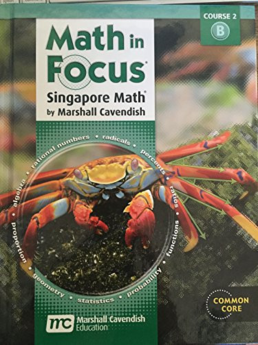 Math In Focus Volume B