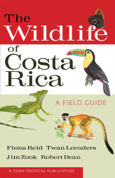 Wildlife Of Costa Rica