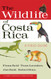 Wildlife Of Costa Rica