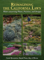 Reimagining The California Lawn