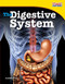 Digestive System Level 3