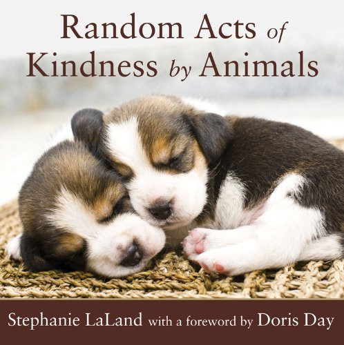 Random Acts Of Kindness By Animals