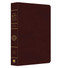 Kjv Study Bible Indexed