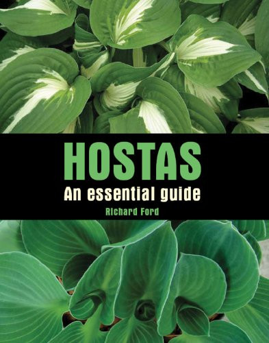 Hostas