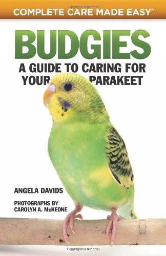 Budgies