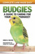 Budgies