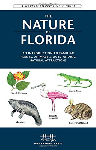 Nature Of Florida