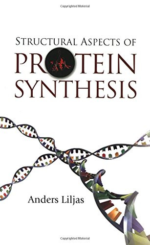 Structural Aspects of Protein Synthesis