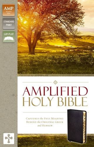 Amplified Holy Bible Bonded Leather Black Indexed